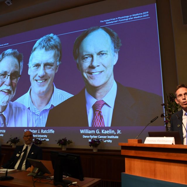 Trio conquista o Nobel de Medicina